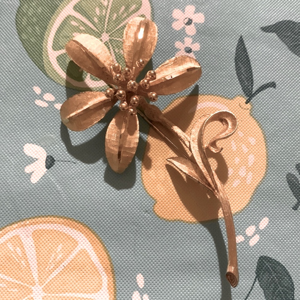 BSK vintage brooch